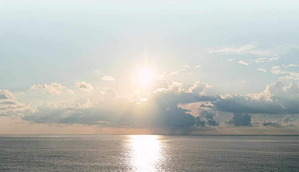 Morning Longevity Yoga