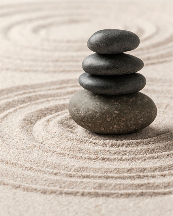 Morning Longevity Yoga